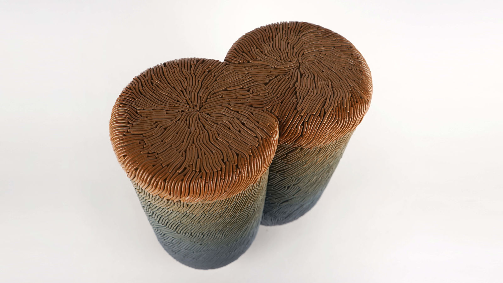 Alice Walton, Evening Ducere, 2022