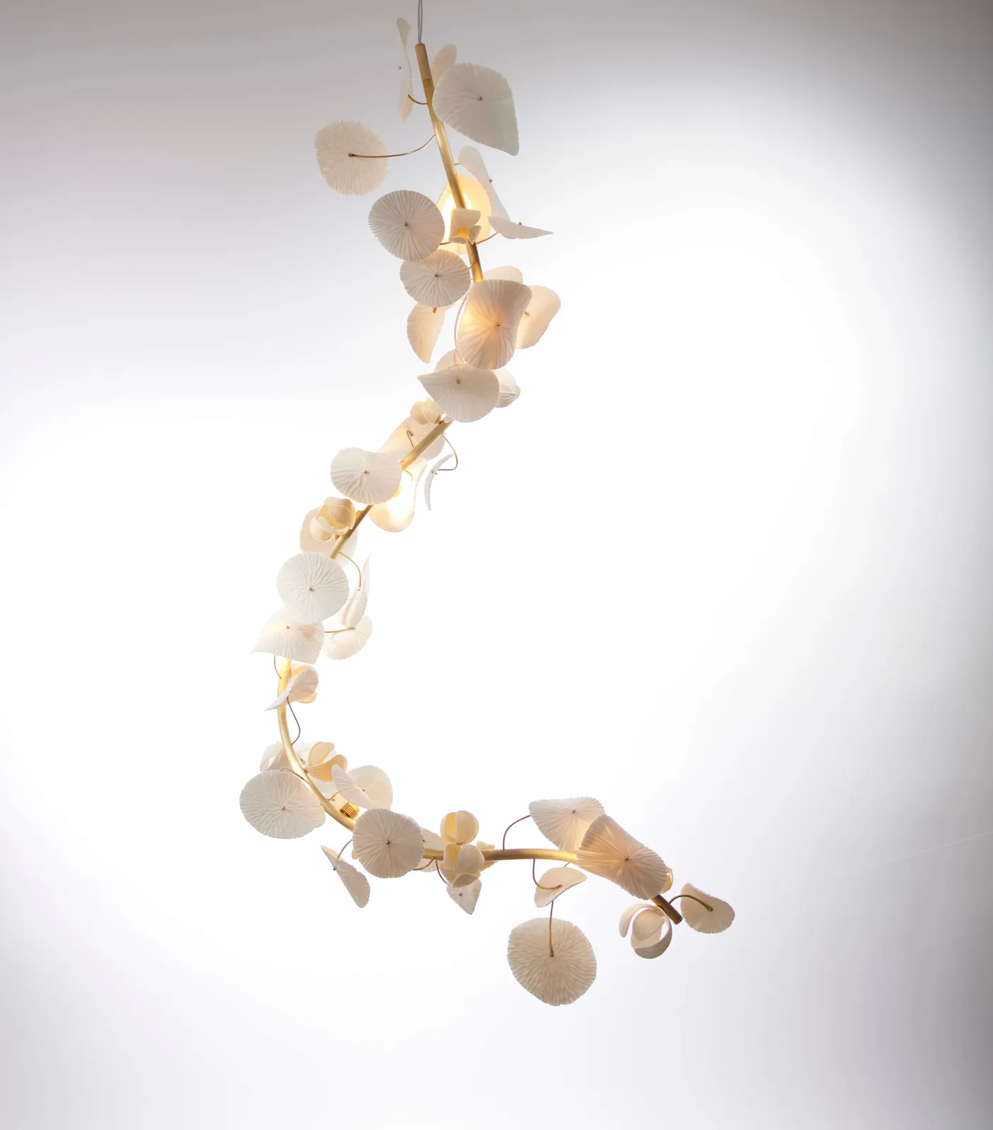 Vezzini & Chen, Dreamy Forest Spring, 2022