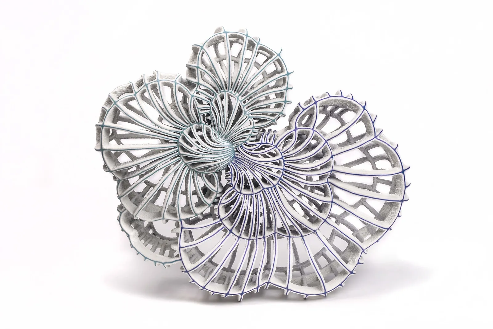 Xu Shiyuan, Hybrid, 2021