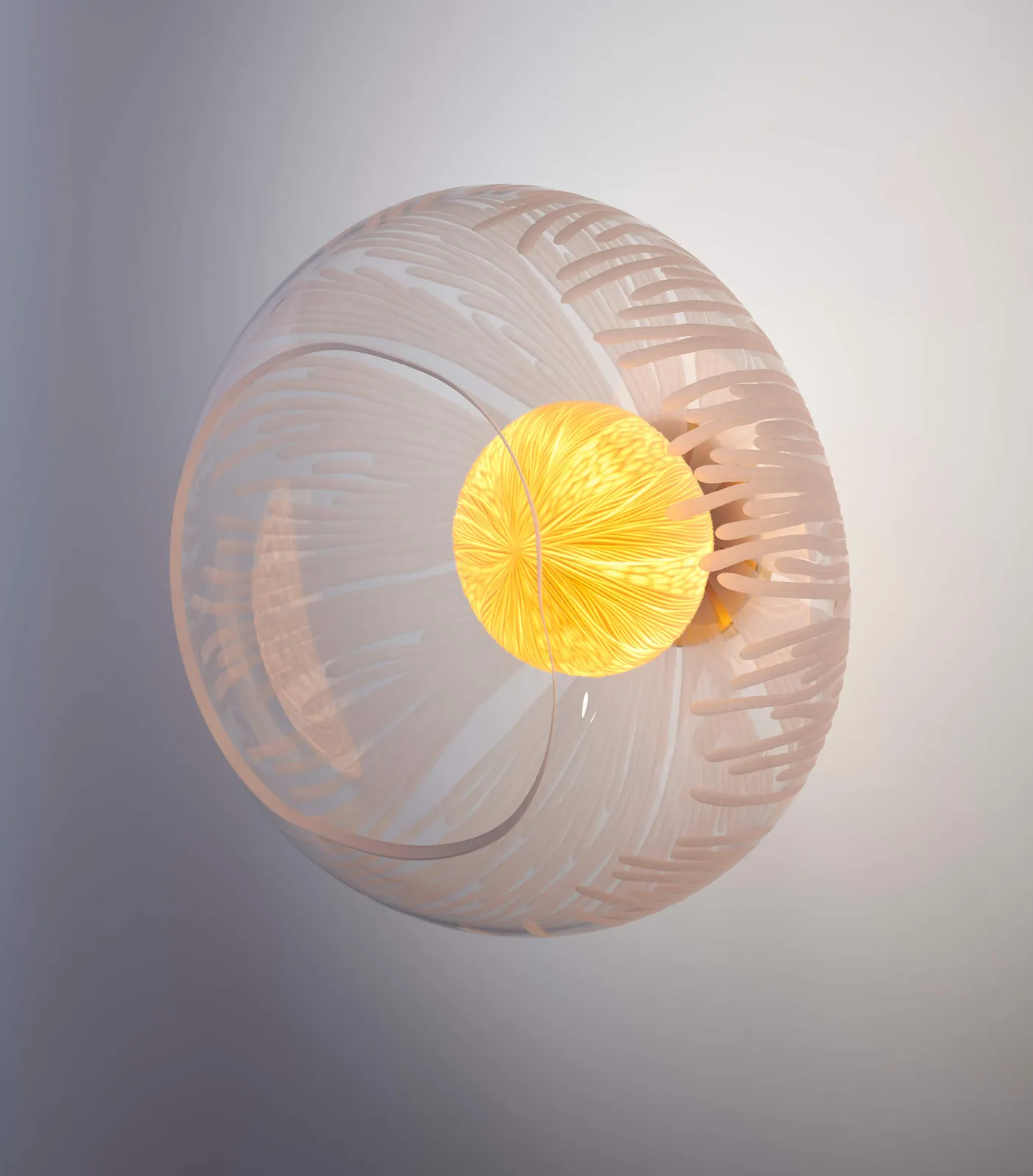 Vezzini & Chen, Magnolia, 2022