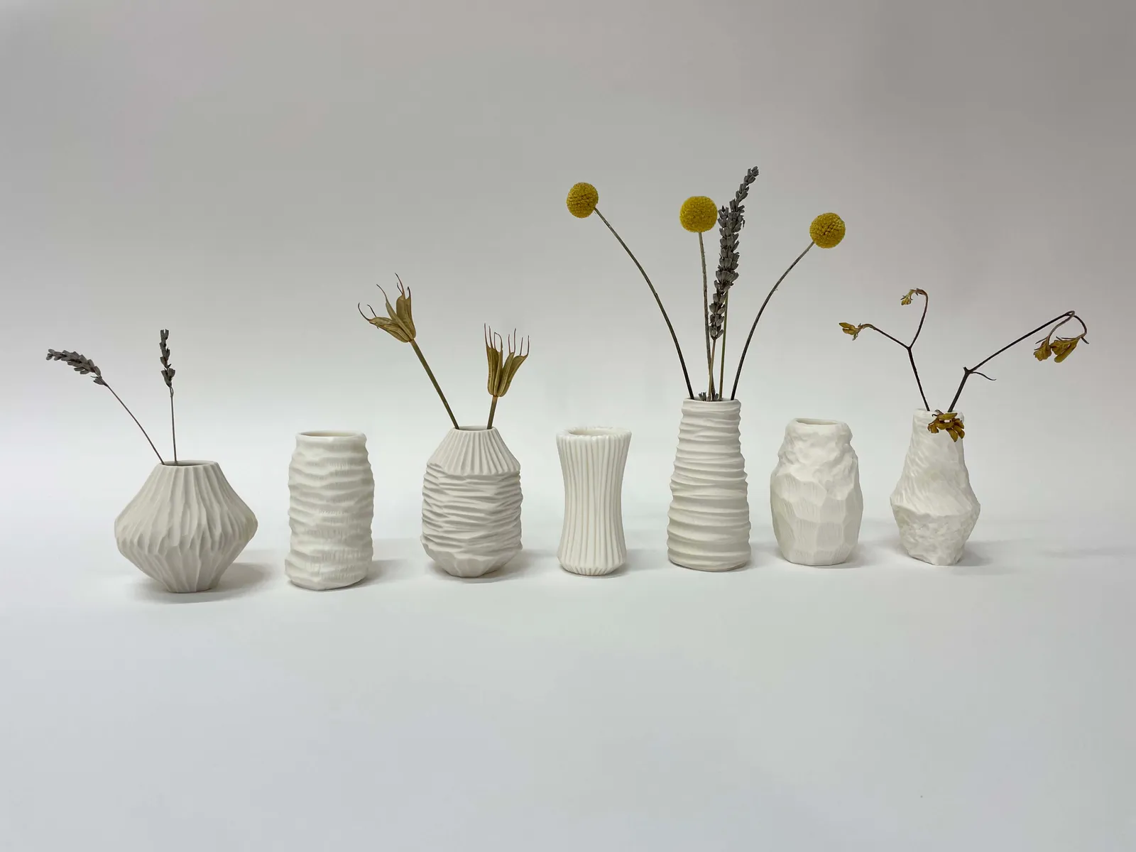 Vezzini & Chen, Natural Patterns, 2021