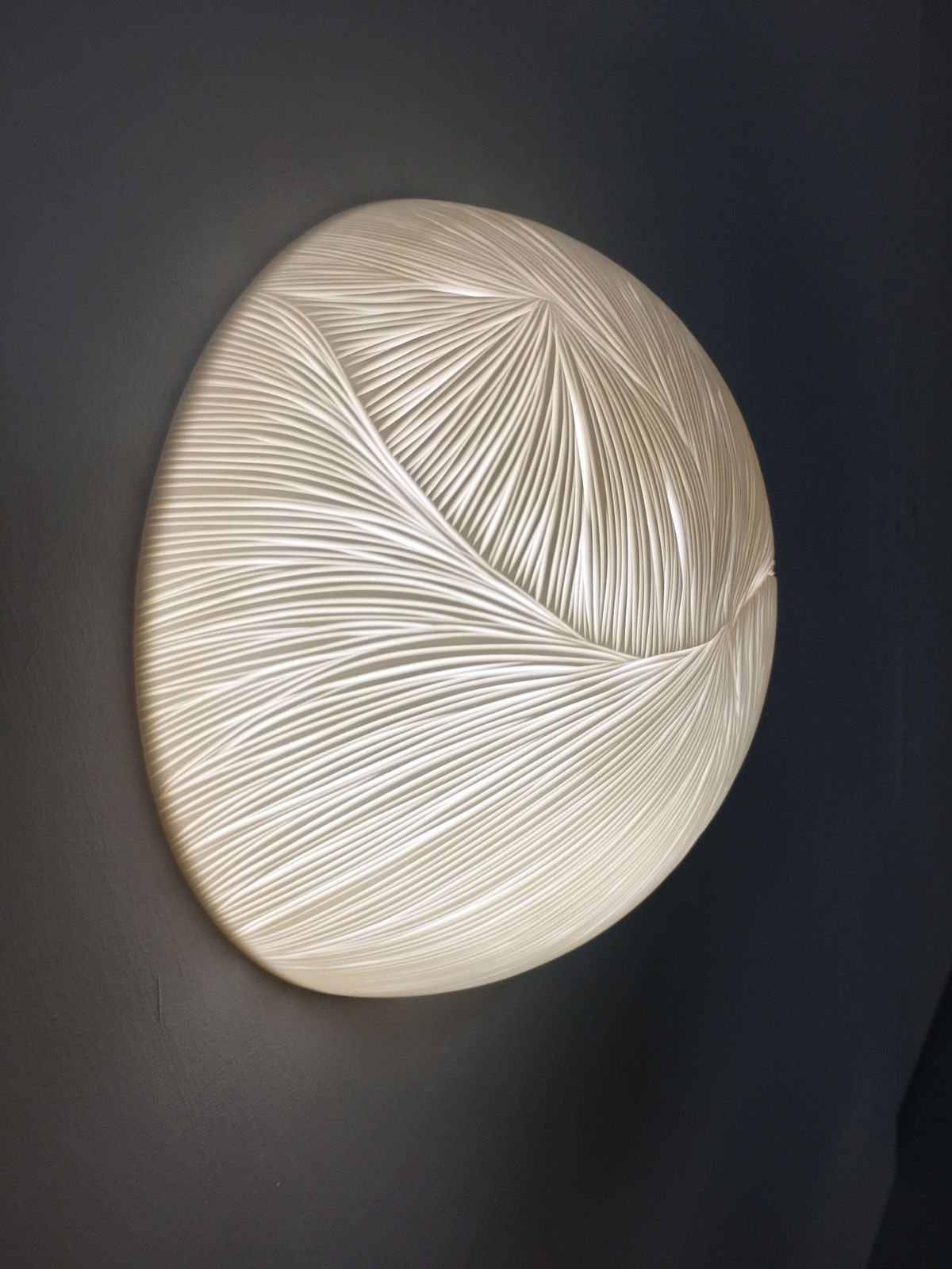 Vezzini & Chen, Drape, 2020