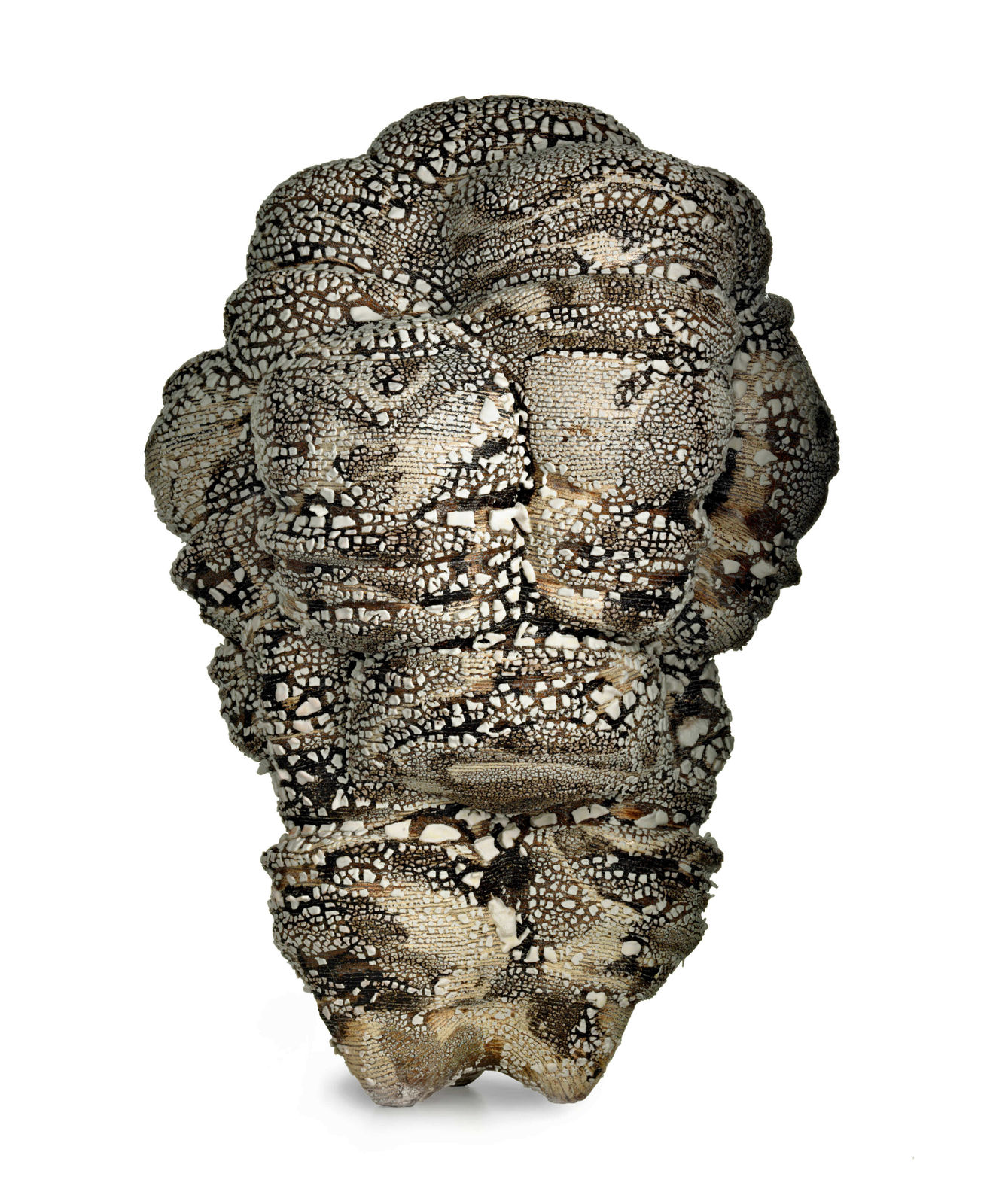 Oriel Zinaburg, LOT #234, 2022