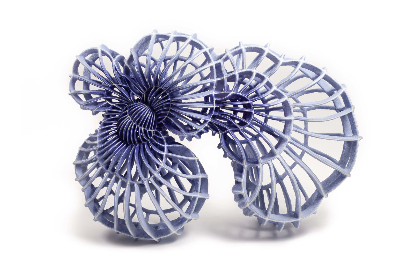 Xu Shiyuan, Vena No.9, 2021