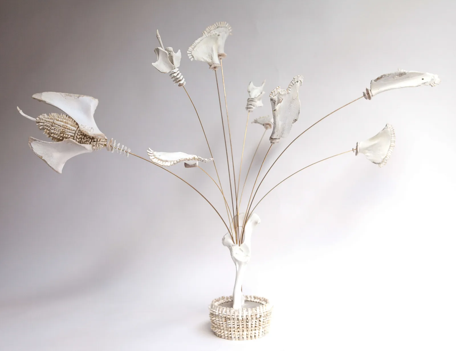 Emma Witter, You Deserved Better, 2020