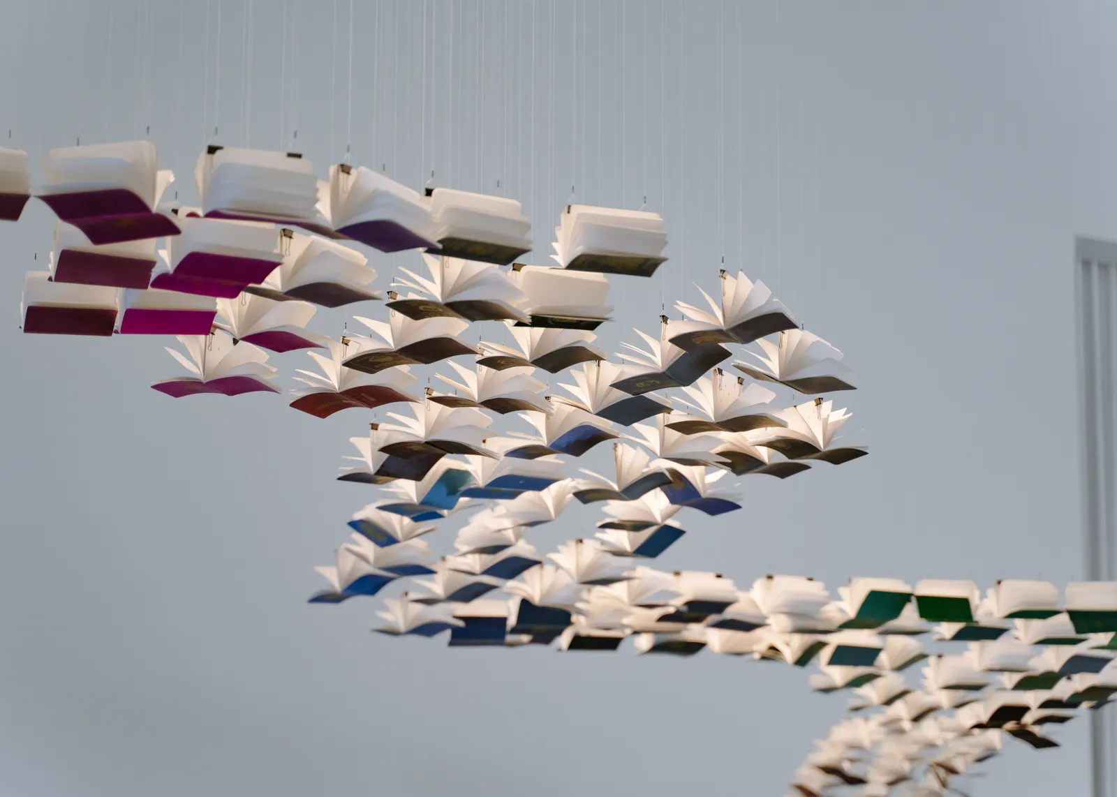 Tintin WULIA, (Re)Collection of Togetherness