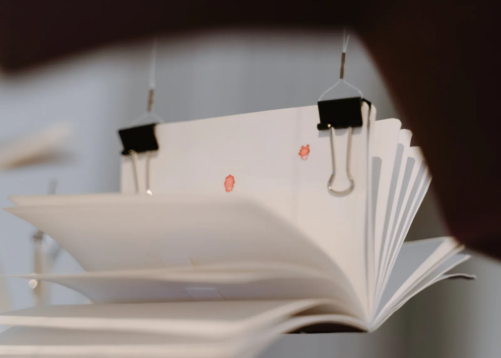 Tintin WULIA, (Re)Collection of Togetherness