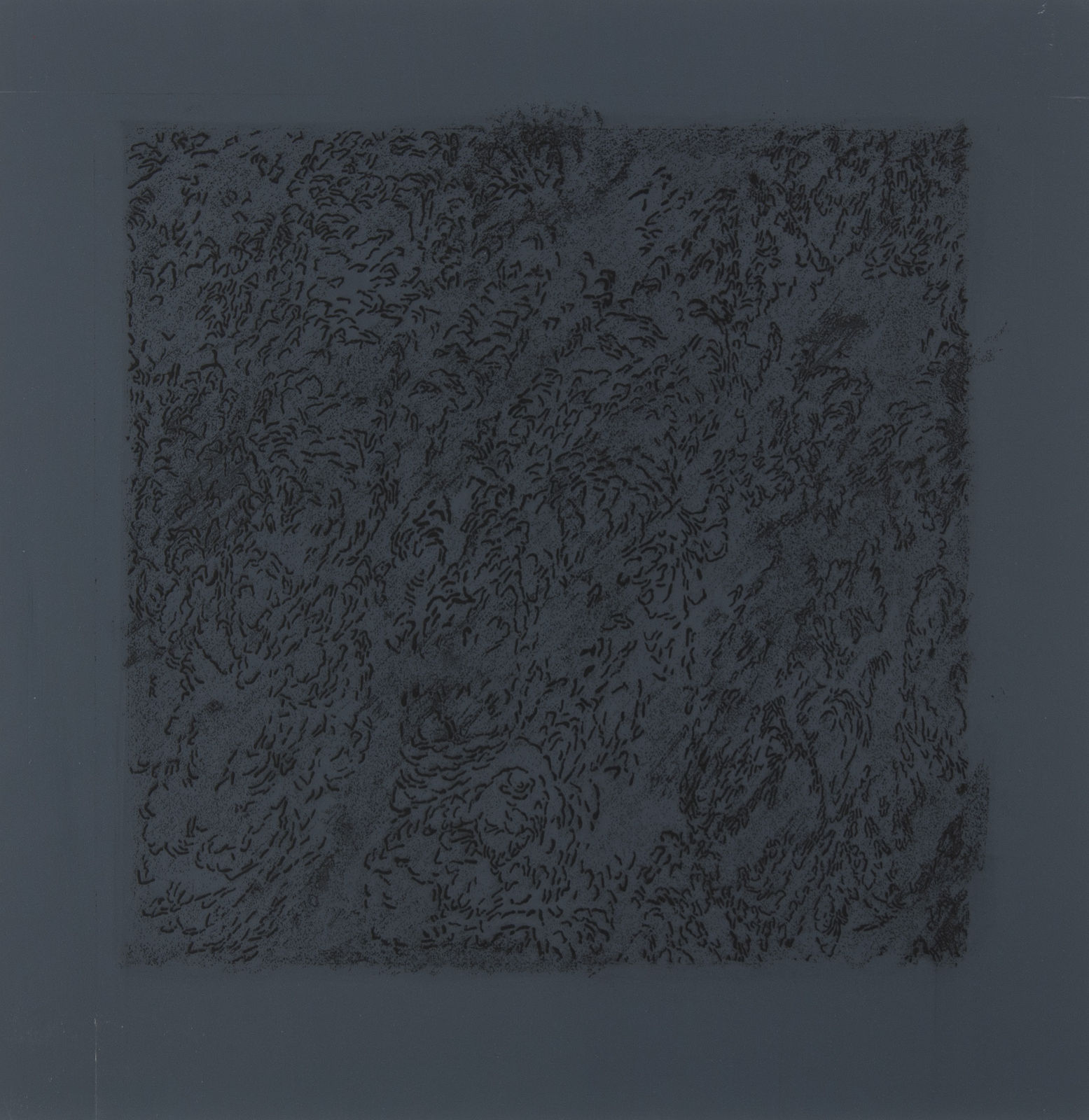 Tim Harrisson, South Harris Detail I, 2010