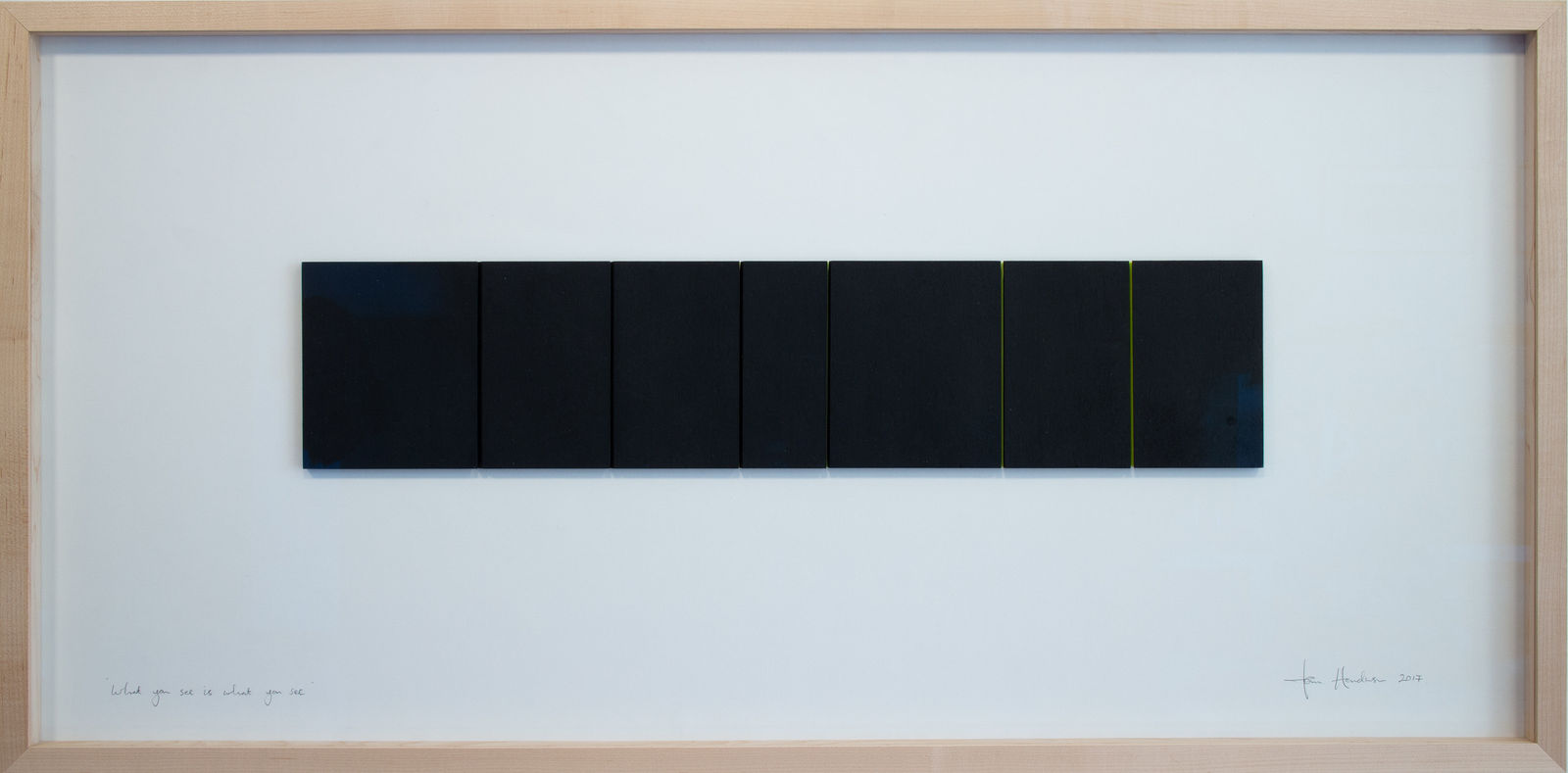 WHAT YOU SEE IS WHAT YOU SEE *1, 2017