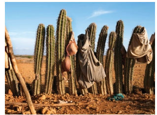 Magdalena Correa, S/T of the series “Wayúu”, 2016