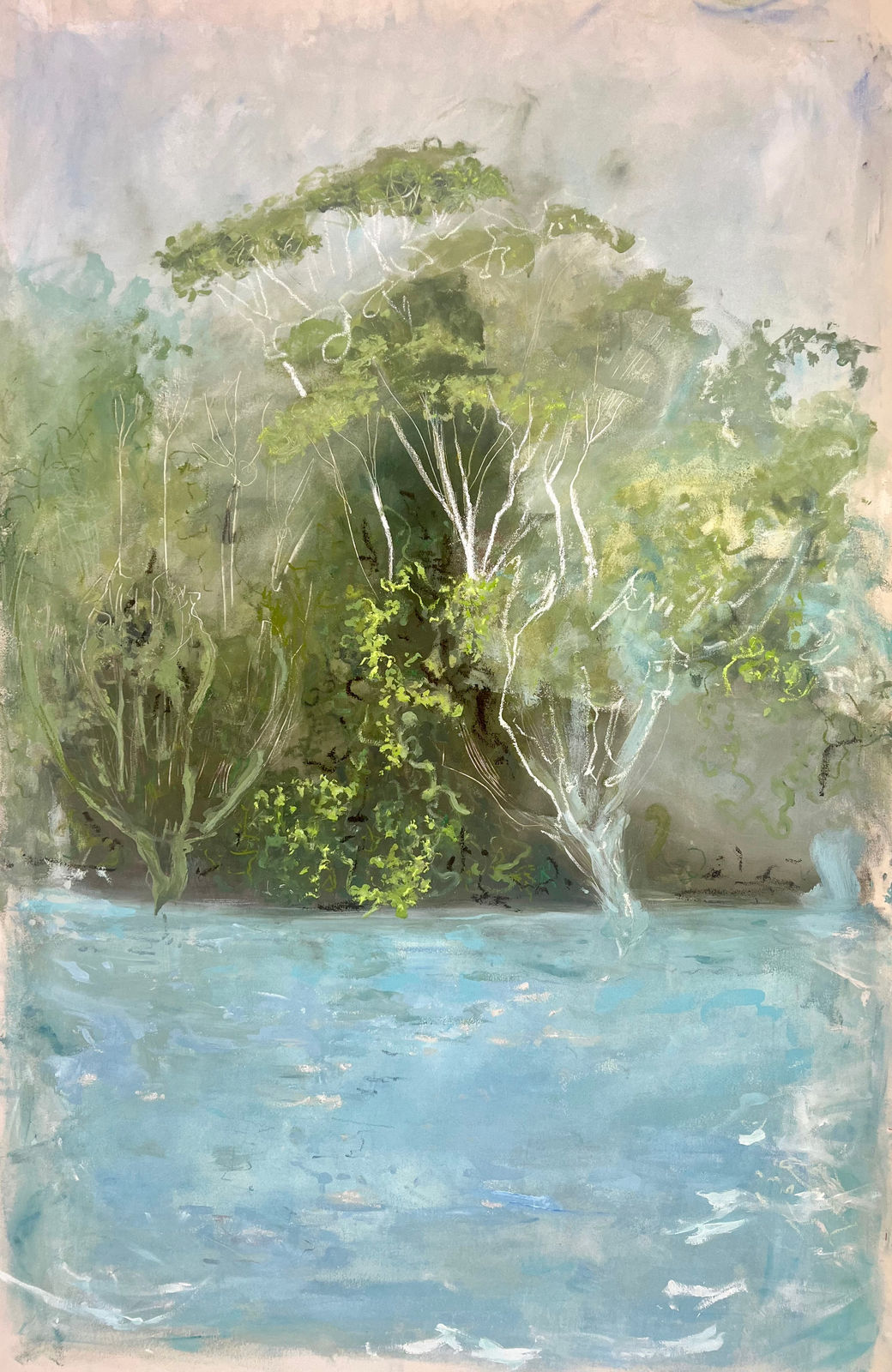 Claudia Pons Bohman, Entre Algarrobos y Samanes, 2025