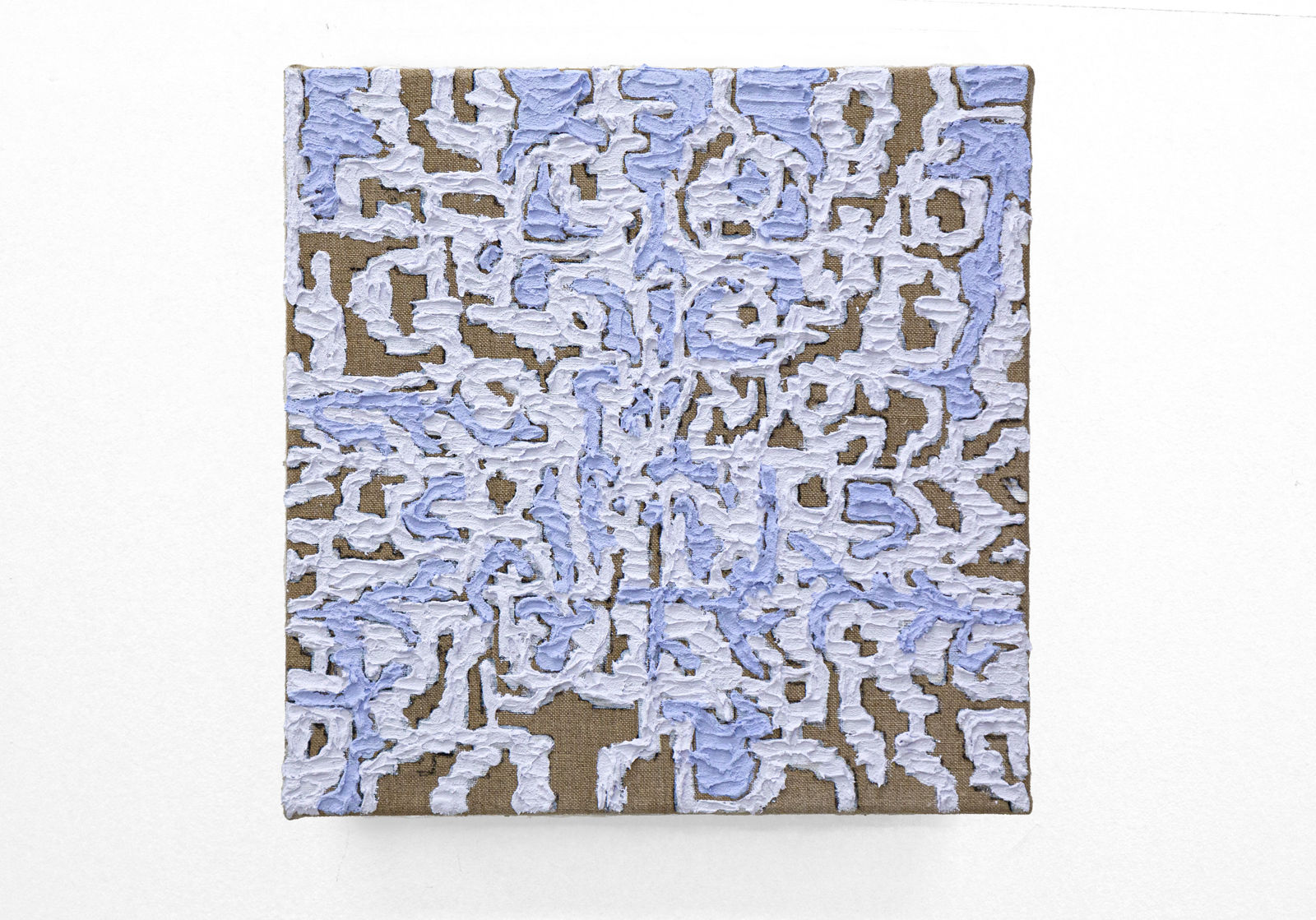 Paula Valdeón Lemus, Dimorfismo azul , 2024