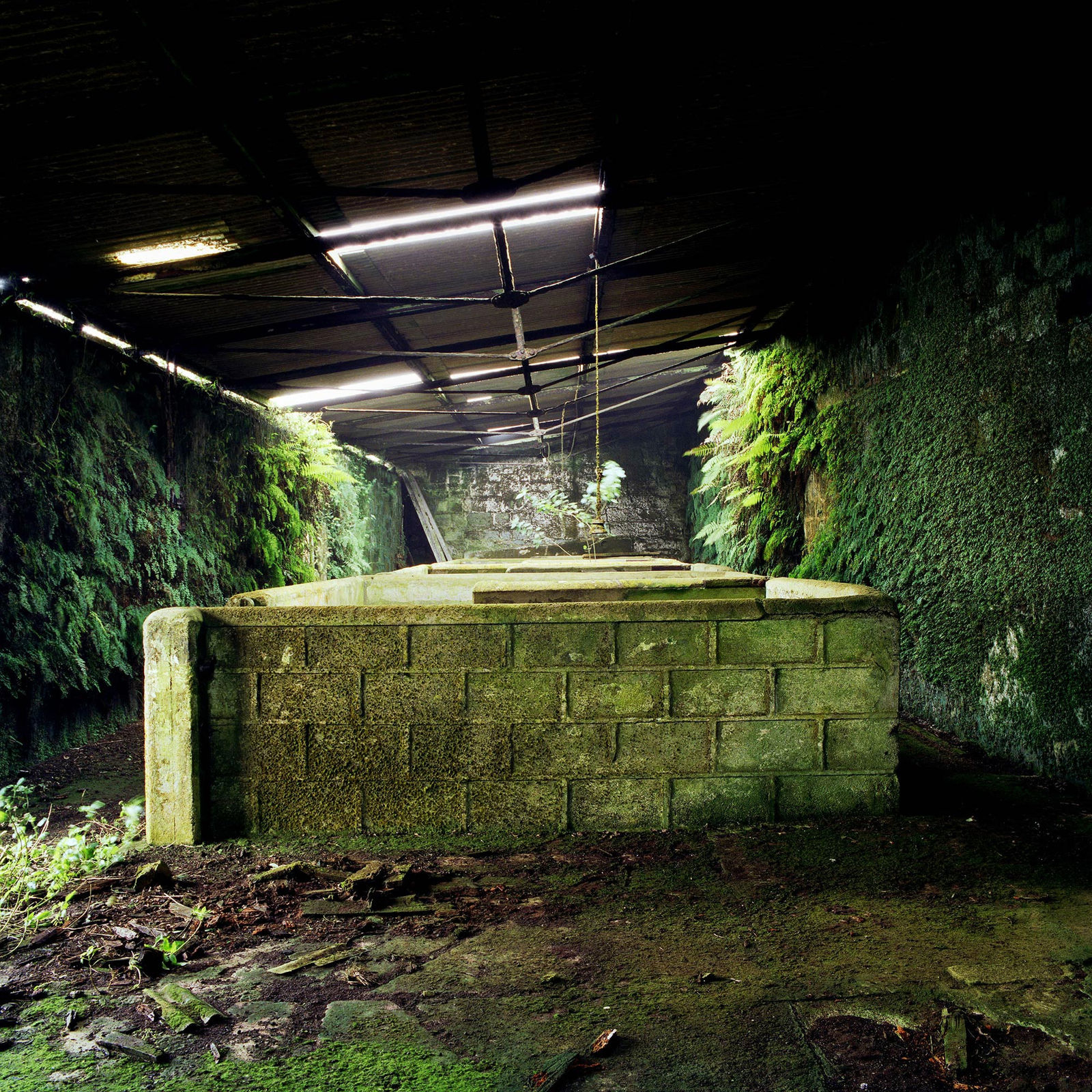 Jon Tonks, The First Garrison, Green Mountain, Ascension Island, 2014
