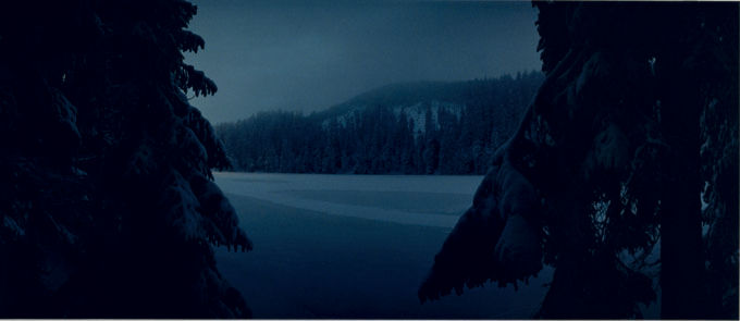 Chrystel Lebas, Between Dog and Wolf Untitled 4, 2004