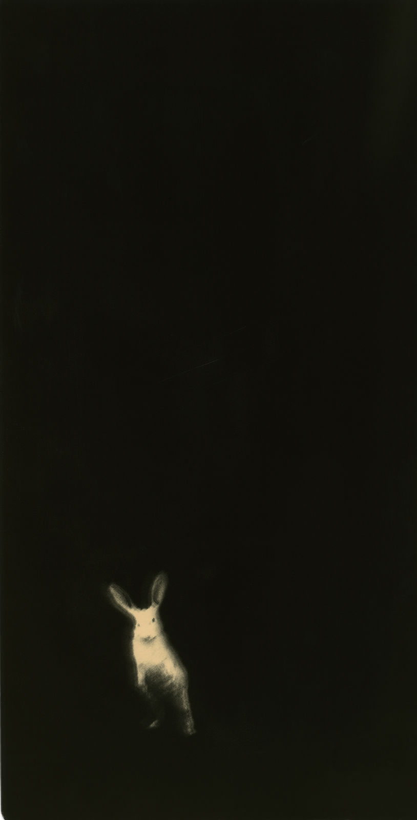 Miho Kajioka, BK0348, 2018