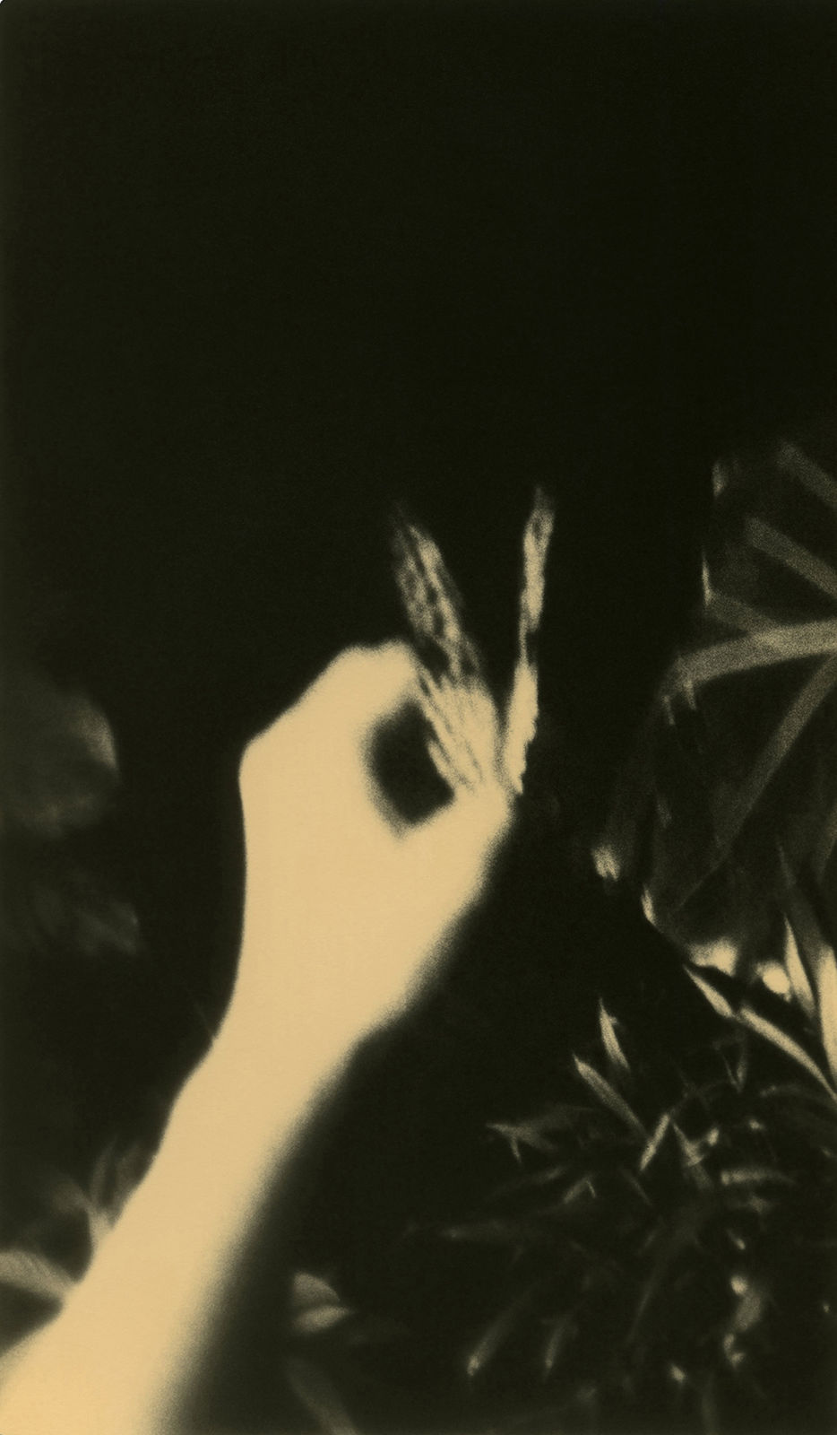 Miho Kajioka, BK0064, 2014