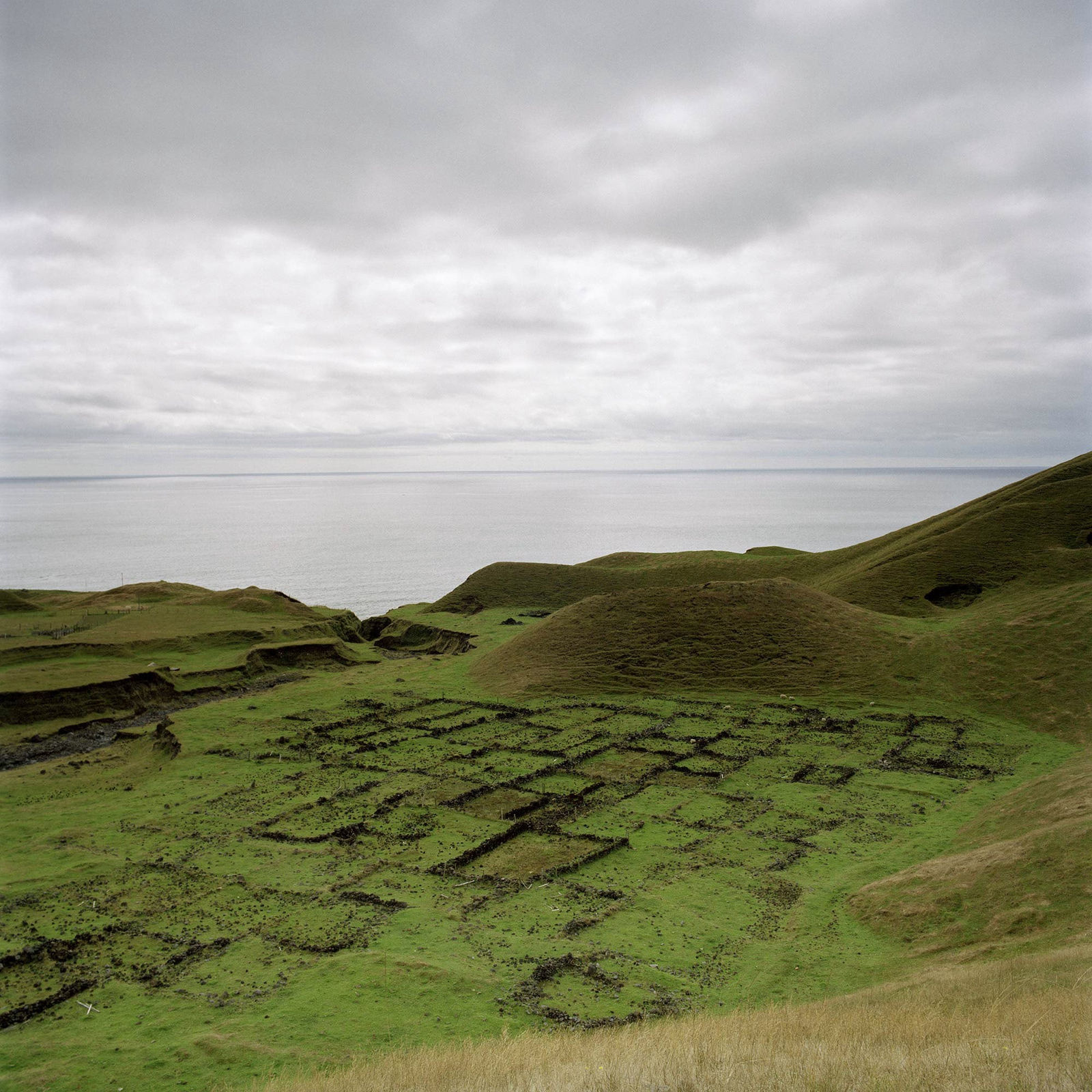 Jon Tonks, The First Potato Patches, Tristan da Cunha, 2011