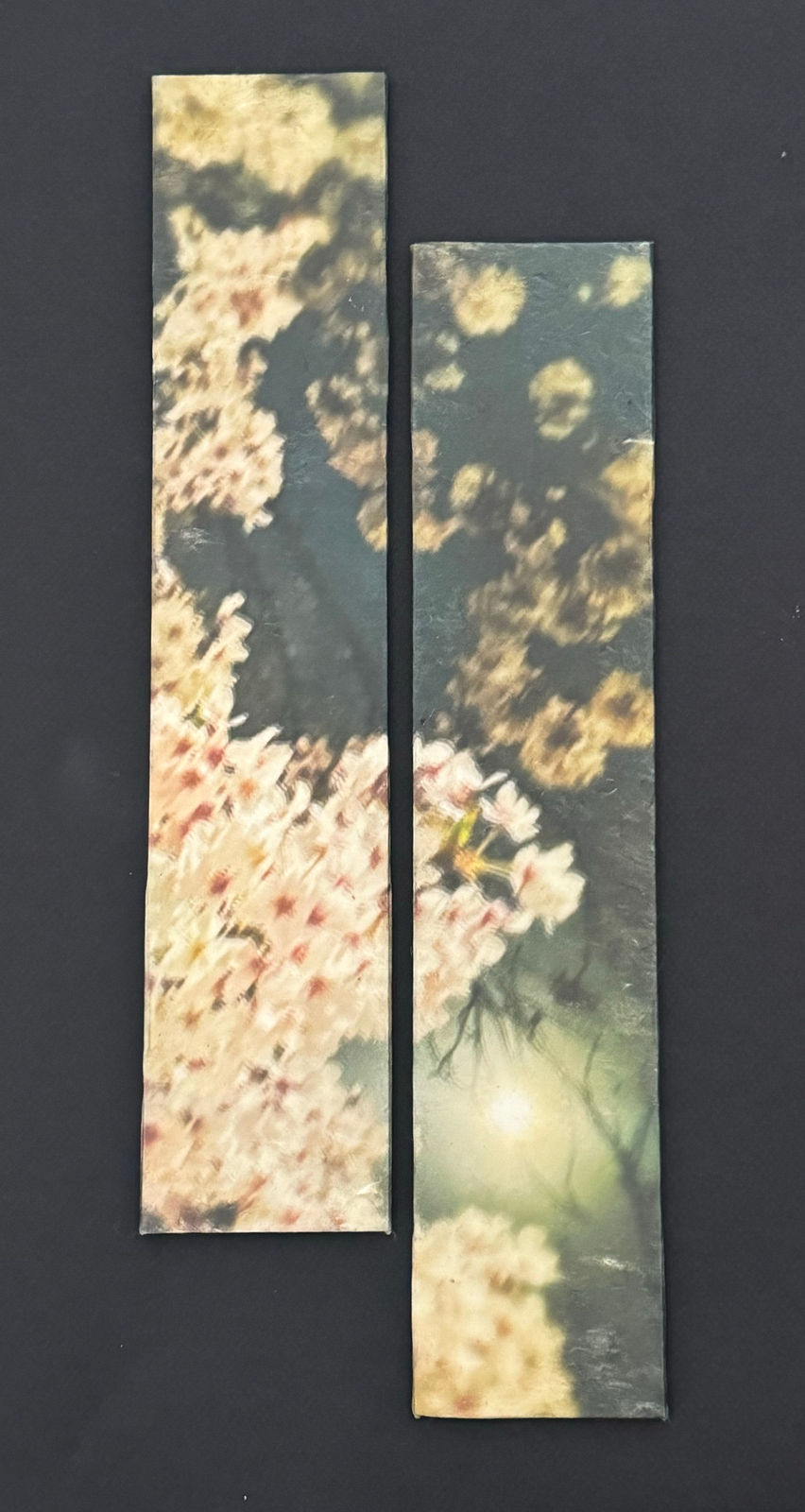 Miho Kajioka, CL0028, 2024