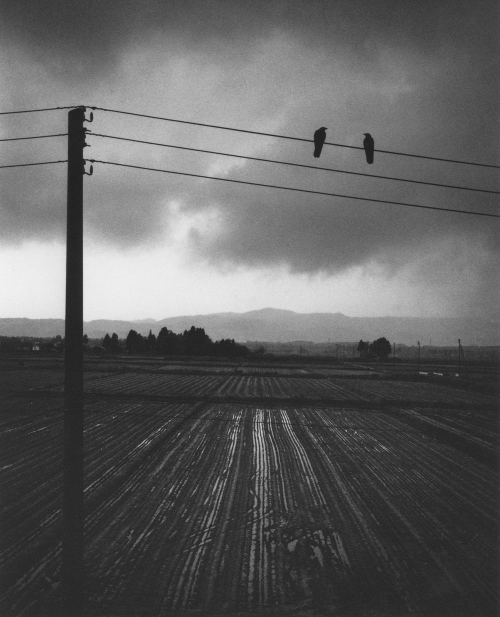 Pentti Sammallahti, Kitakata, Japan, 2005