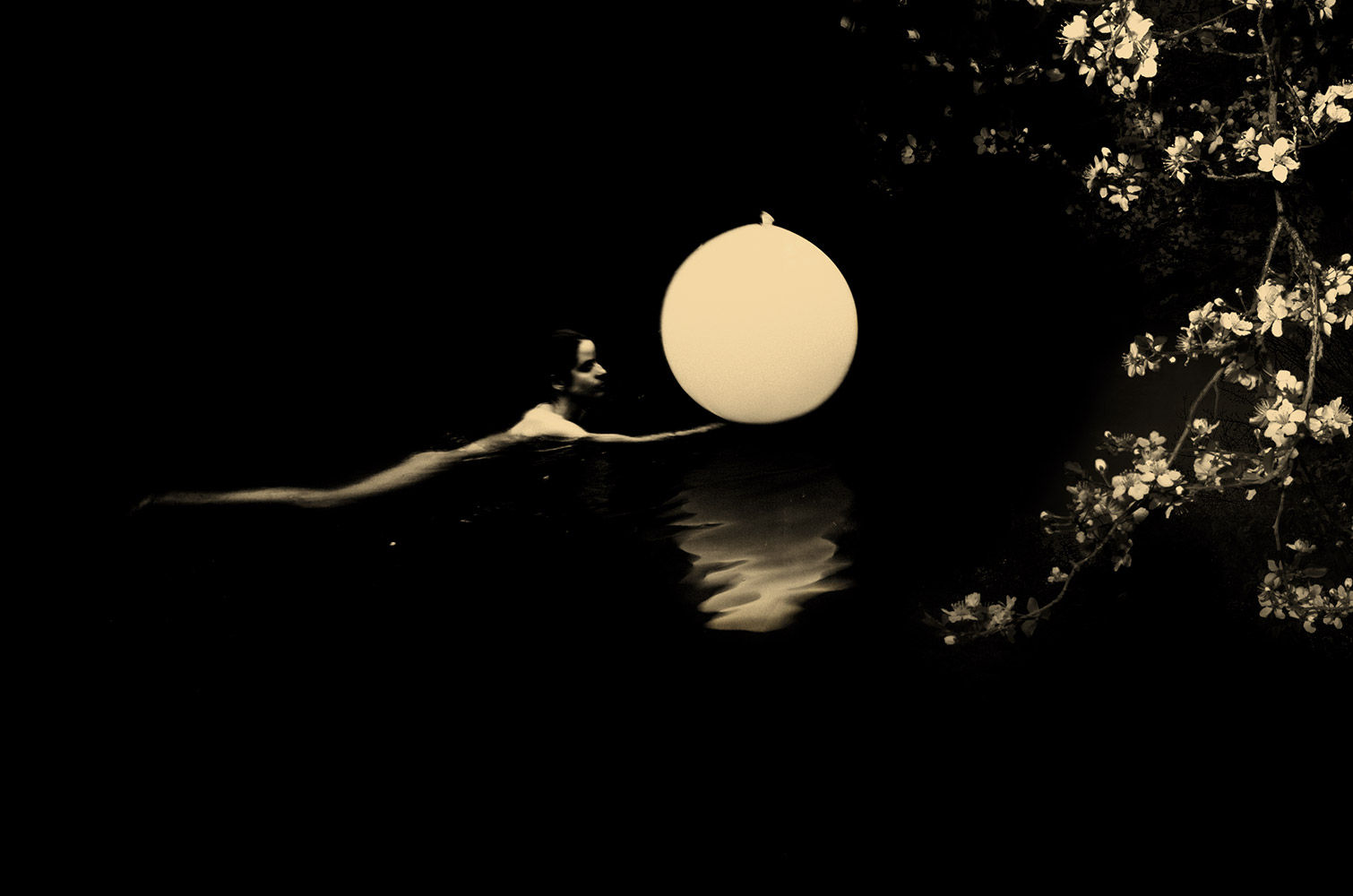 Paul Cupido, Luna II, 2019