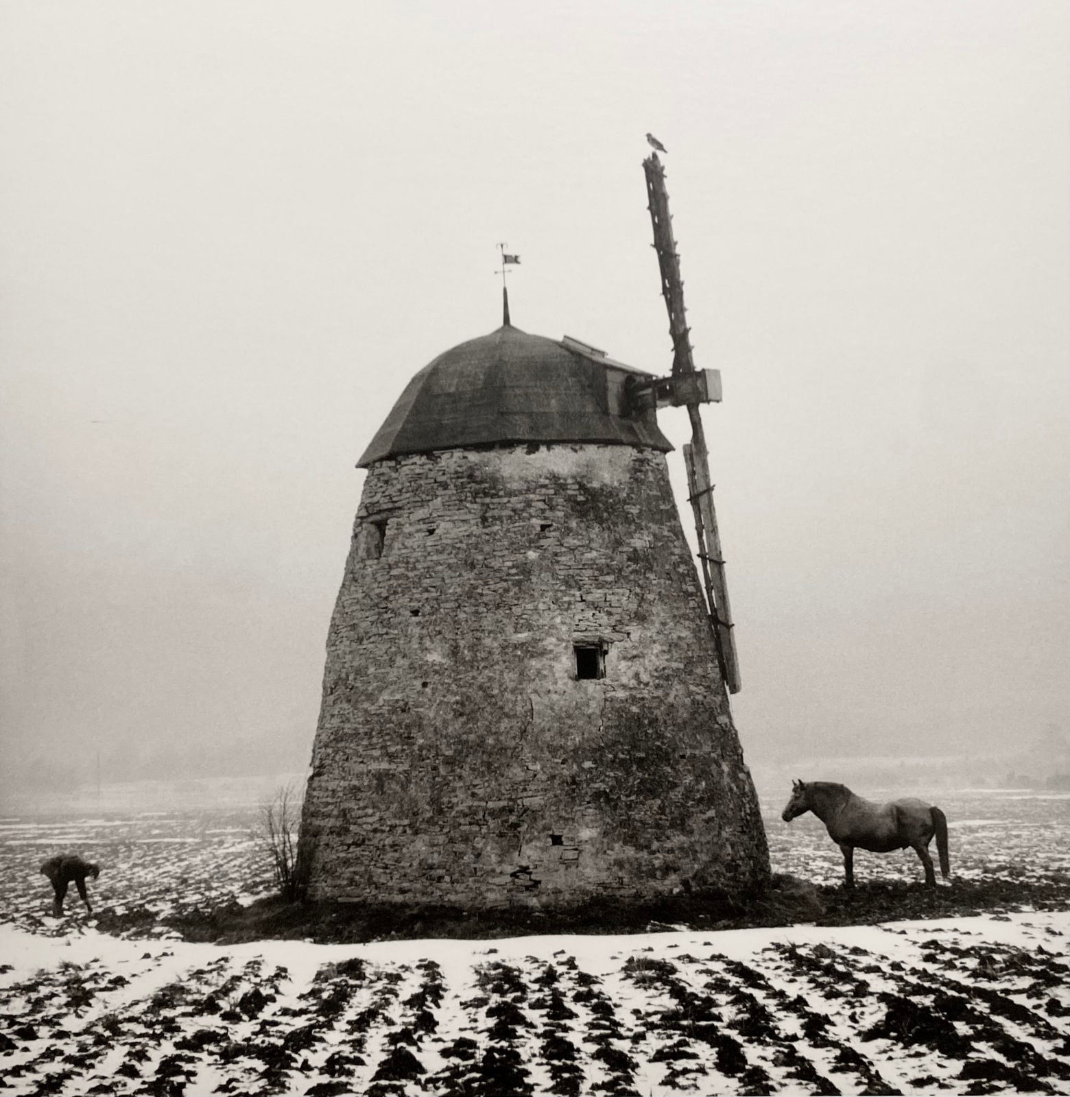 Pentti Sammallahti, Gotland Sweden, 1997