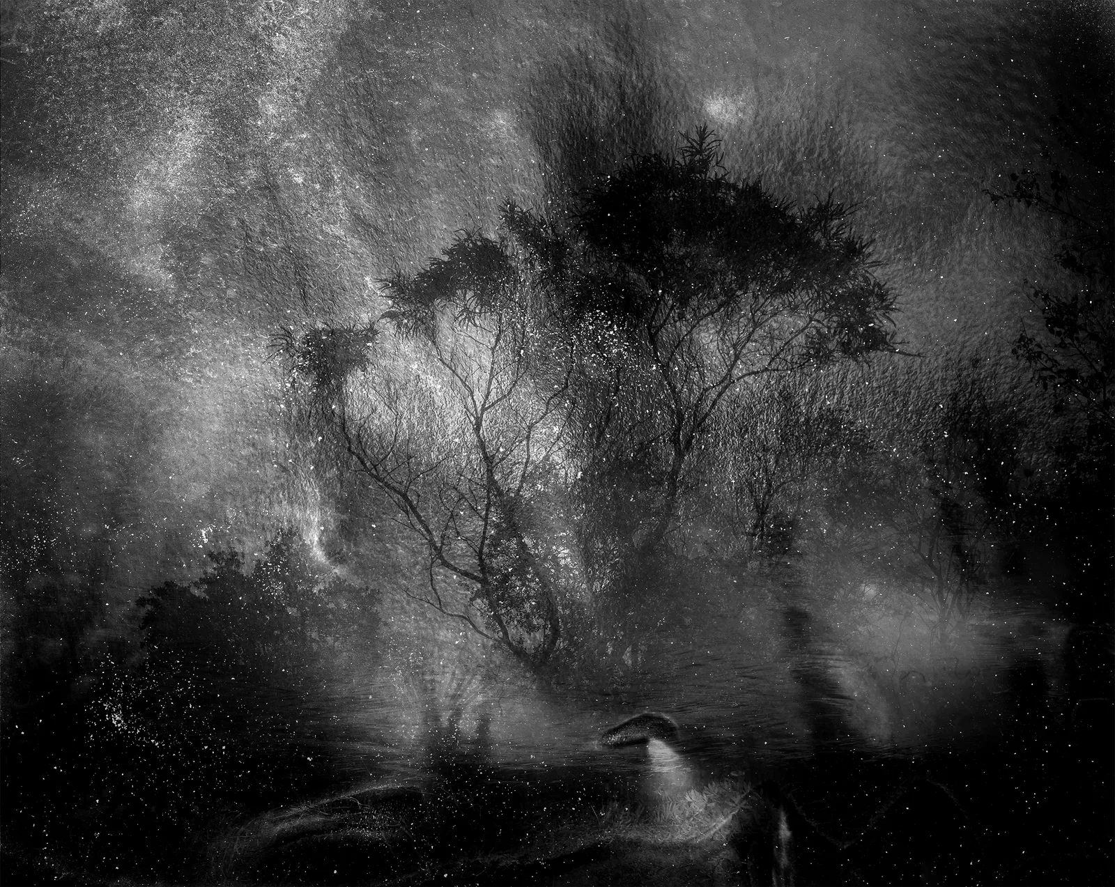 Nicholas Hughes, Untitled #11