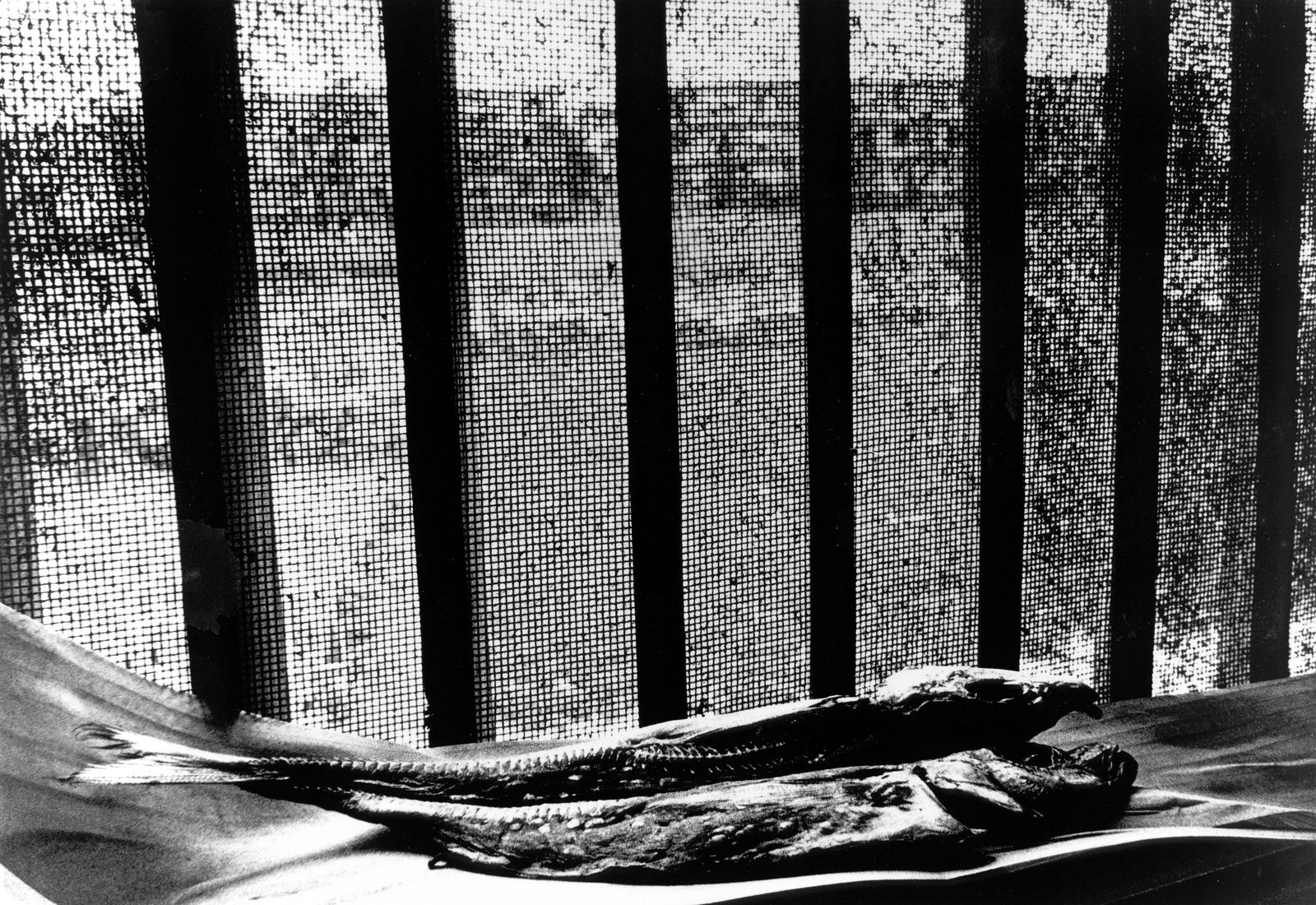 Daido Moriyama, A Photo Theatre