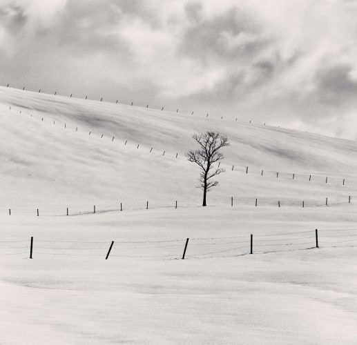 Michael Kenna, Frozen Landscape, Teshikaga, Hokkaido, Japan, 2002