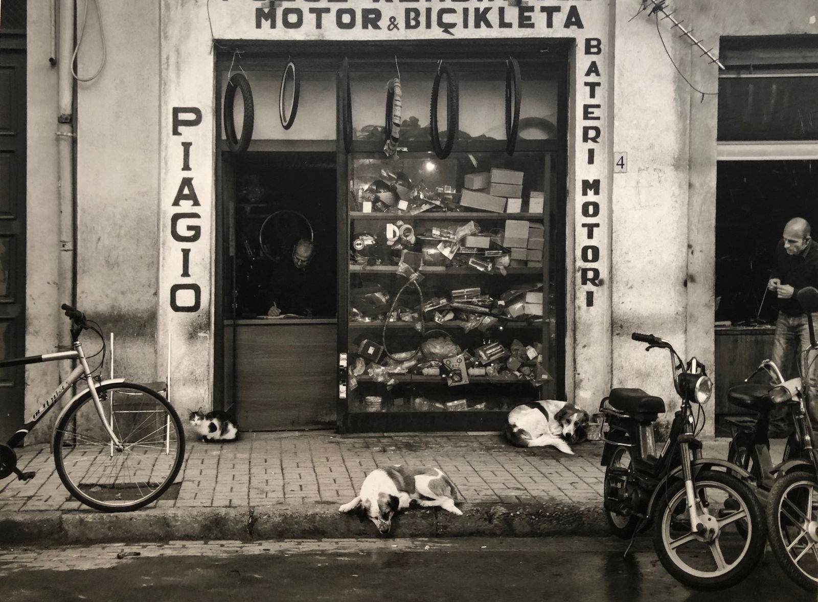 Pentti Sammallahti, Tirana, Albania, 2012