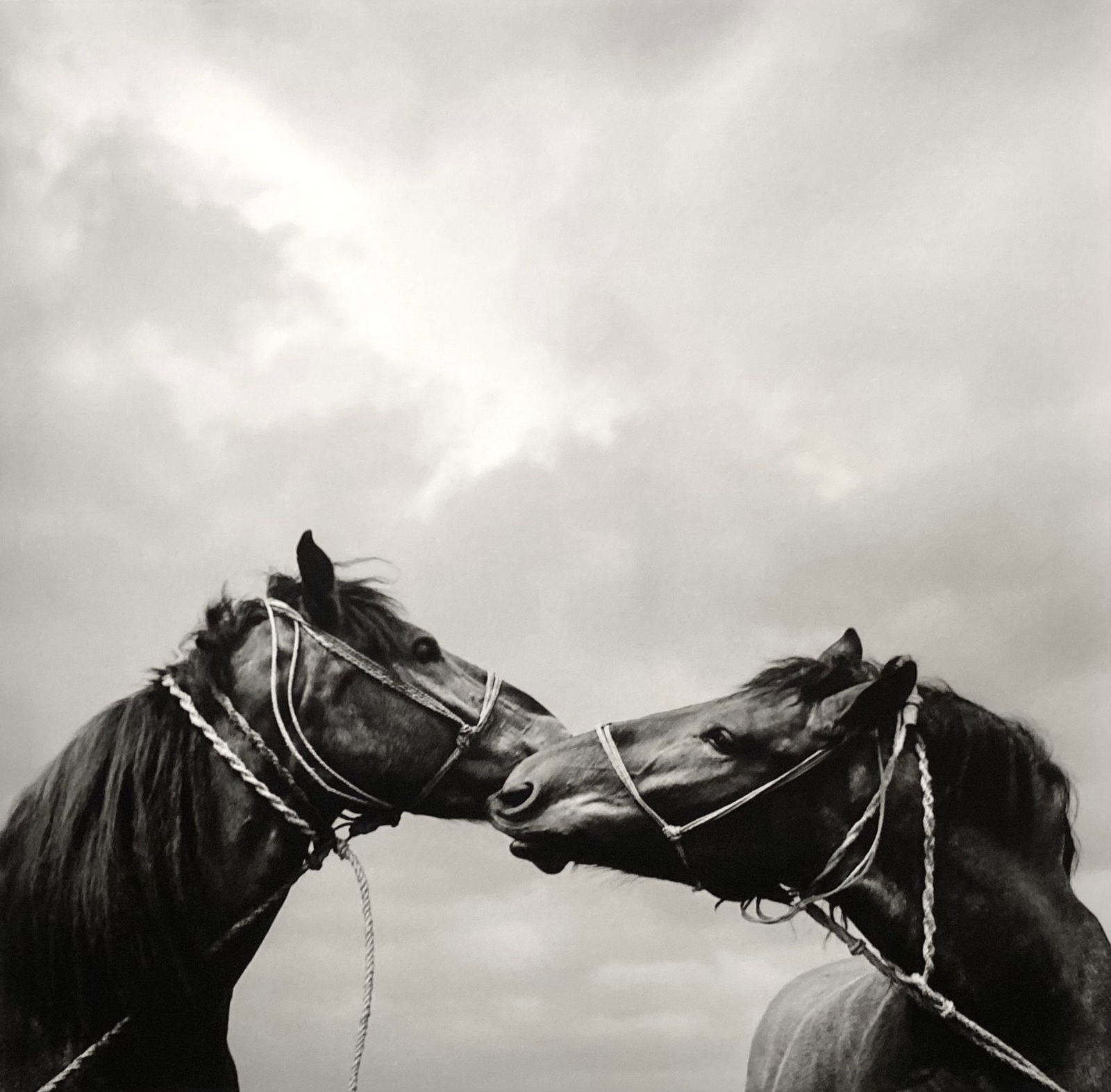 Pentti Sammallahti, Pecs, Hungary, 1999