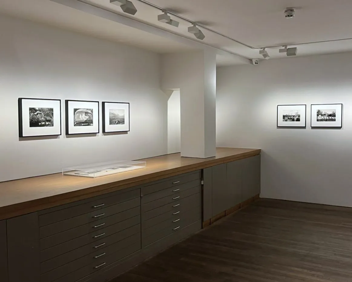 Martin Parr, County Kerry, Dingle Penninsula, Abandoned Morris Minors, 1980-1983