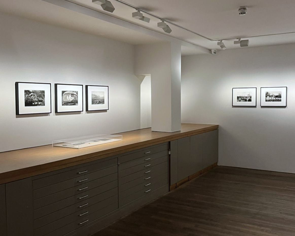 Martin Parr, County Sligo, Glencar, Abandoned Morris Minors, 1981