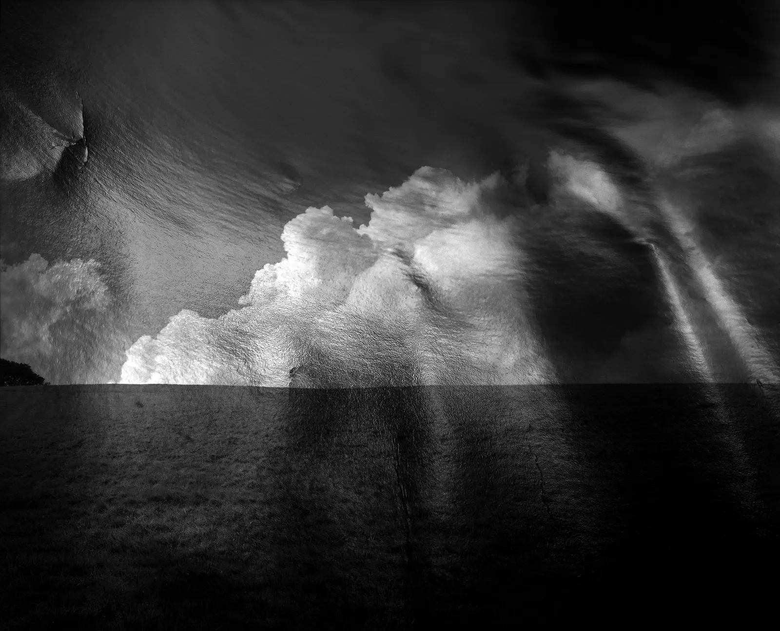 Nicholas Hughes, Untitled #6, 2025