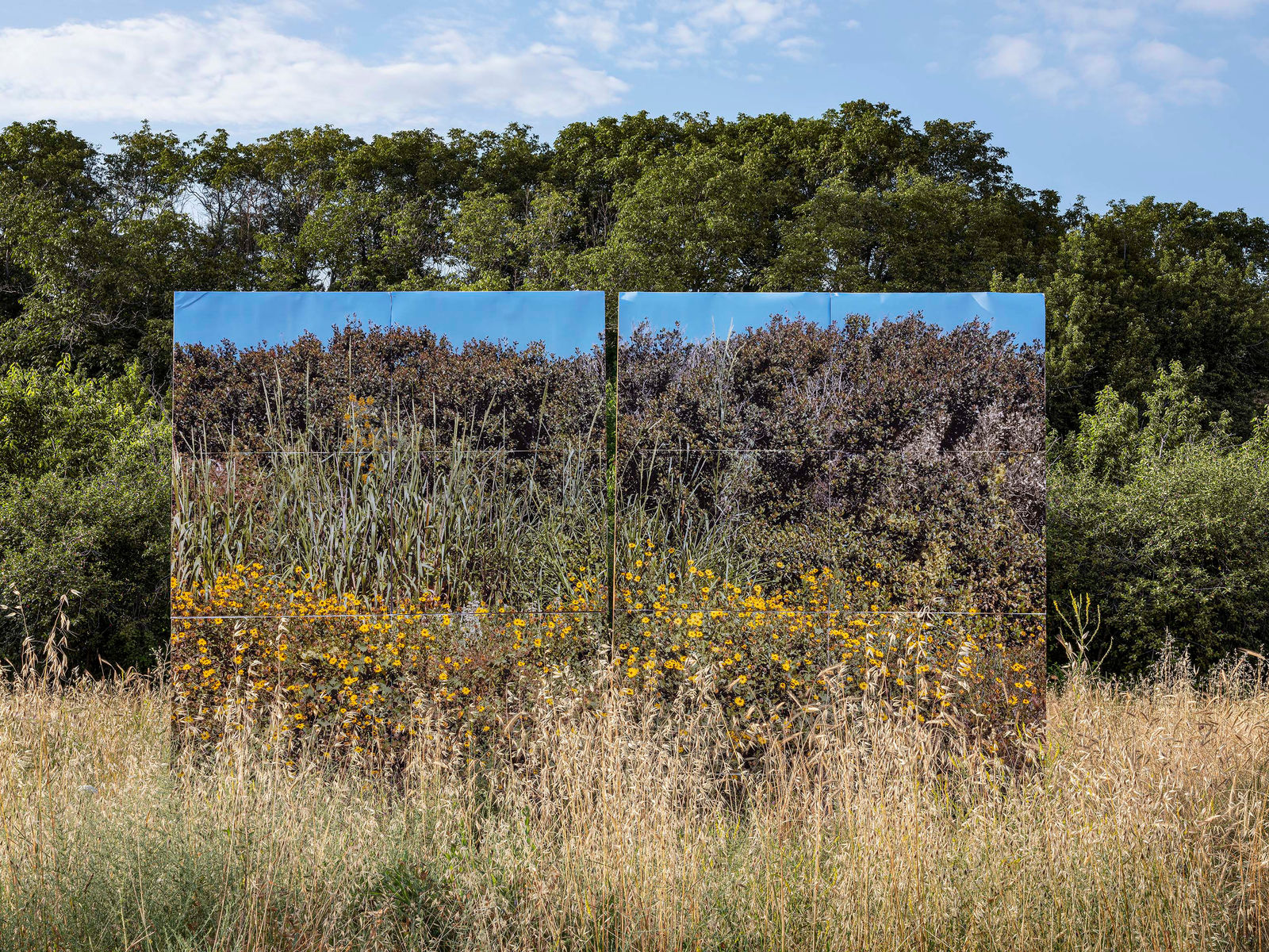 Gohar Dashti, Land/s #6, 2019