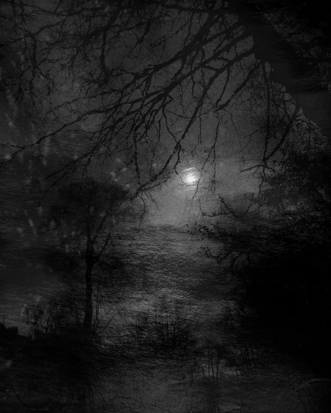 Nicholas Hughes, Untitled #07, 2025