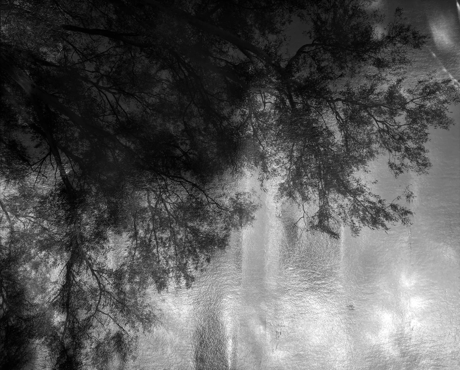 Nicholas Hughes, Untitled #32, 2025