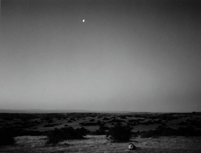 Pentti Sammallahti, Scotia, South Africa, 2012