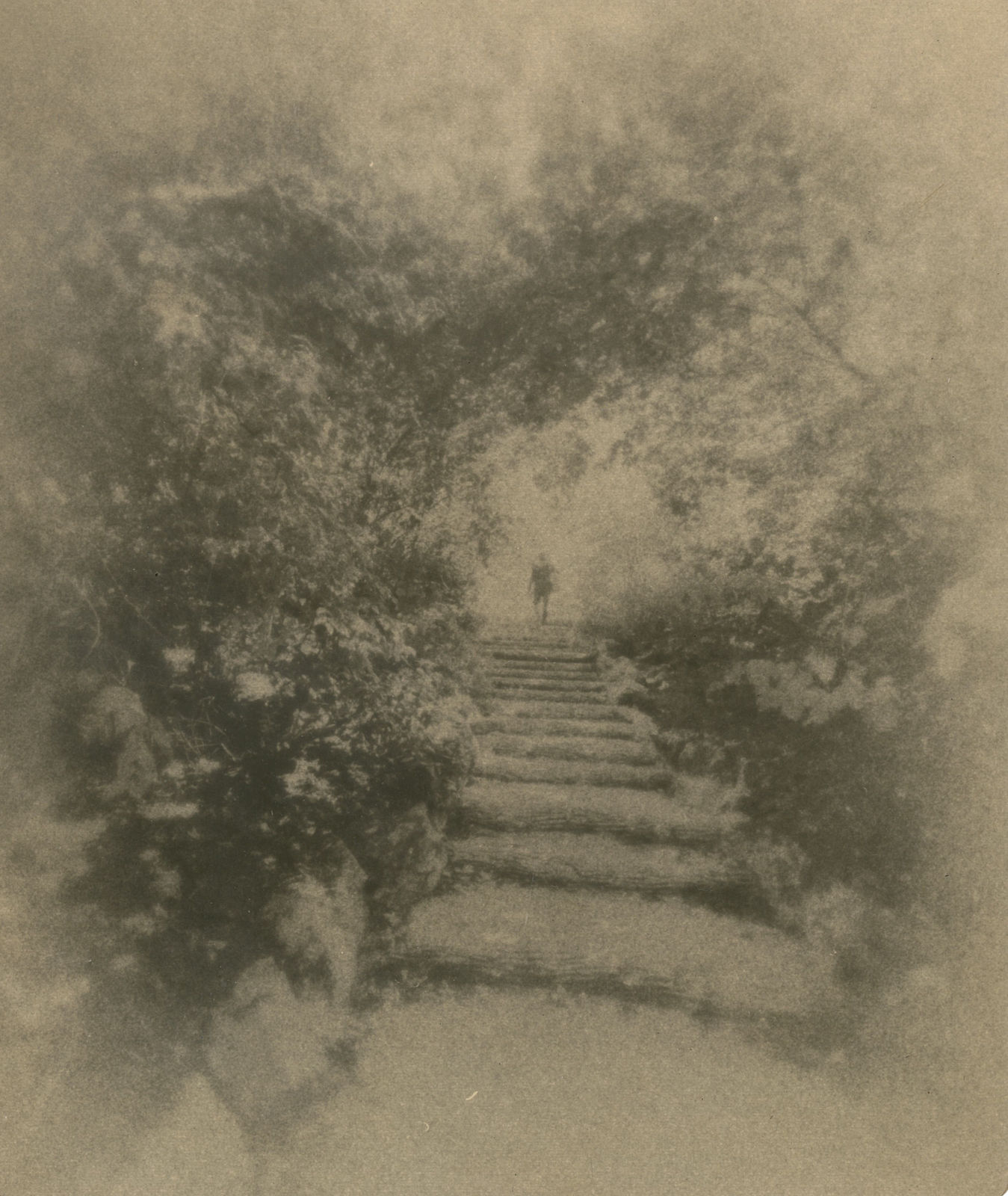 Miho Kajioka, #0084, 2022