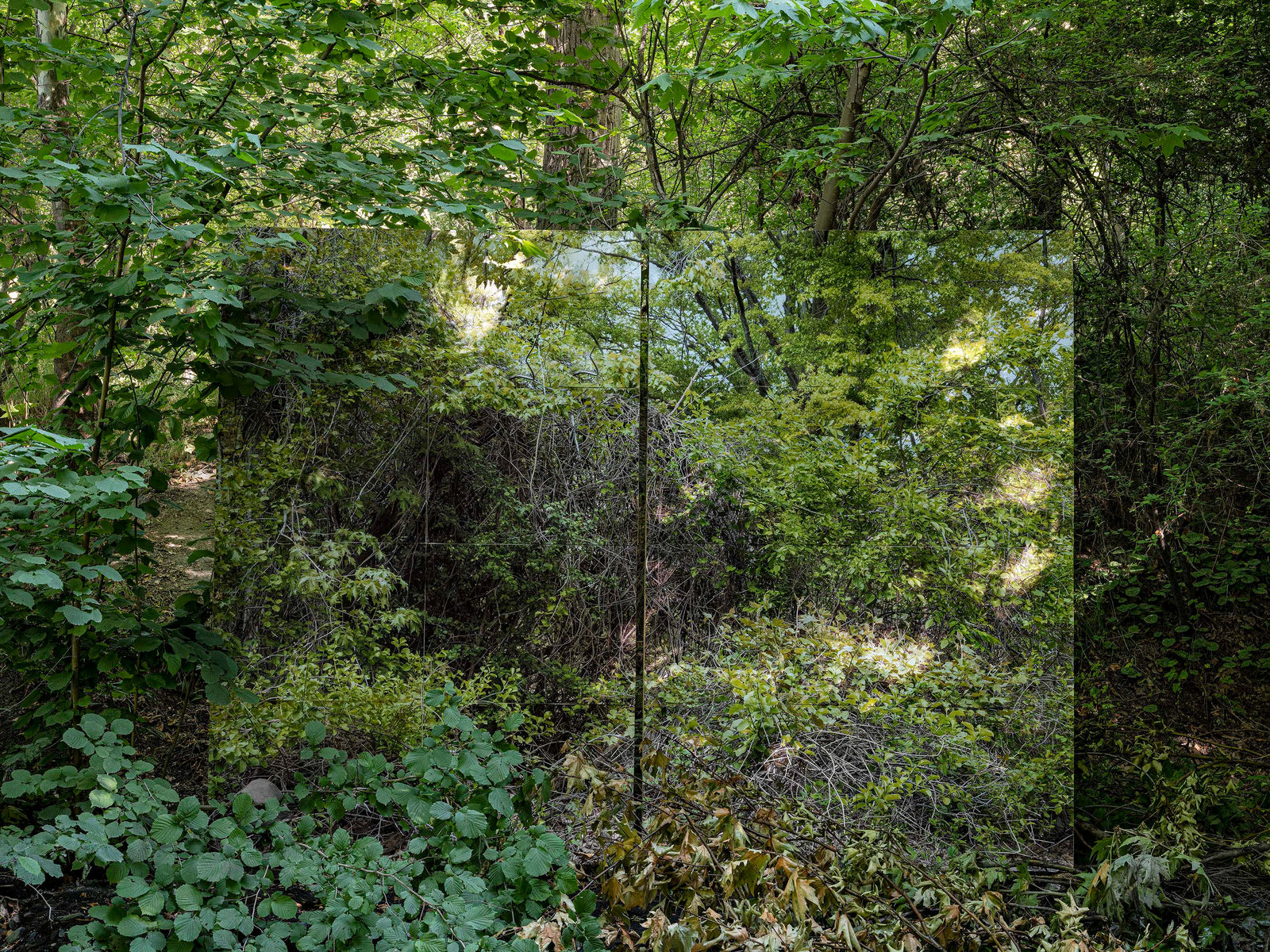 Gohar Dashti, Land/s #8, 2019