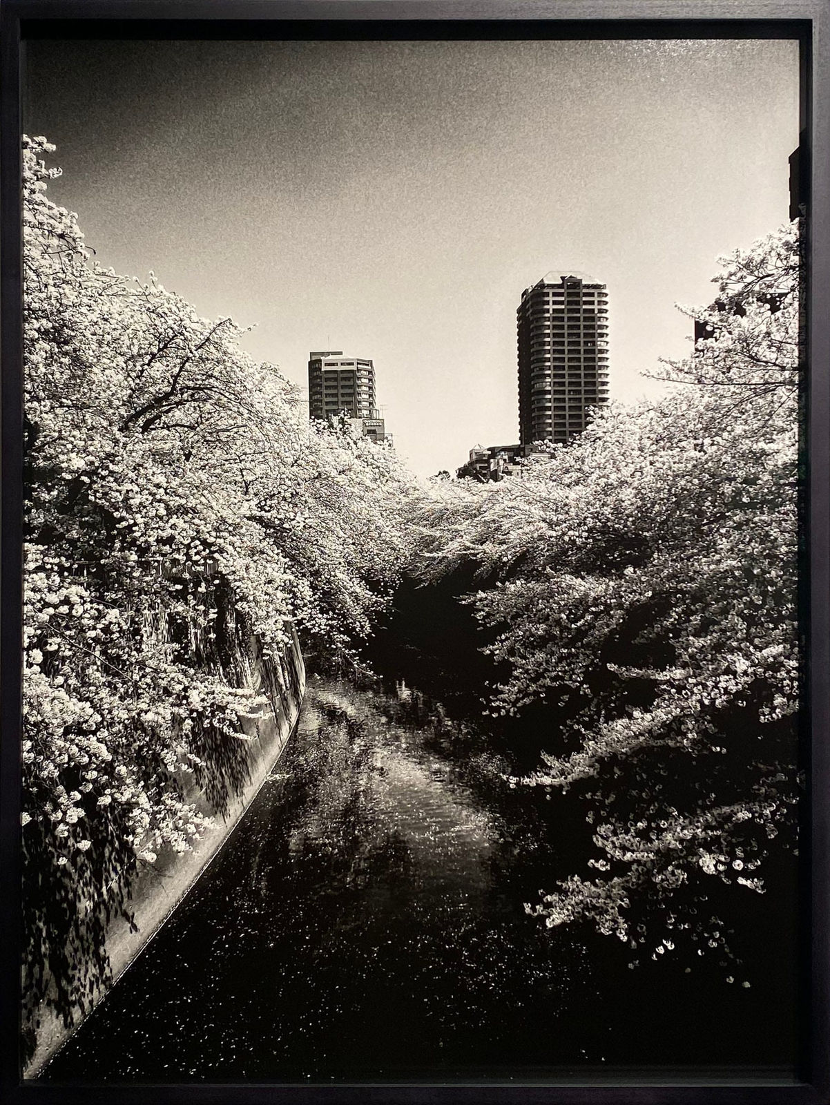 Daido Moriyama, Untitled, from 'Ango', 2017