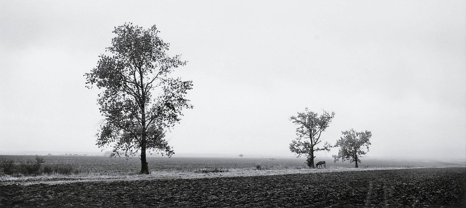 Pentti Sammallahti, Montana, Bulgaria, 2003