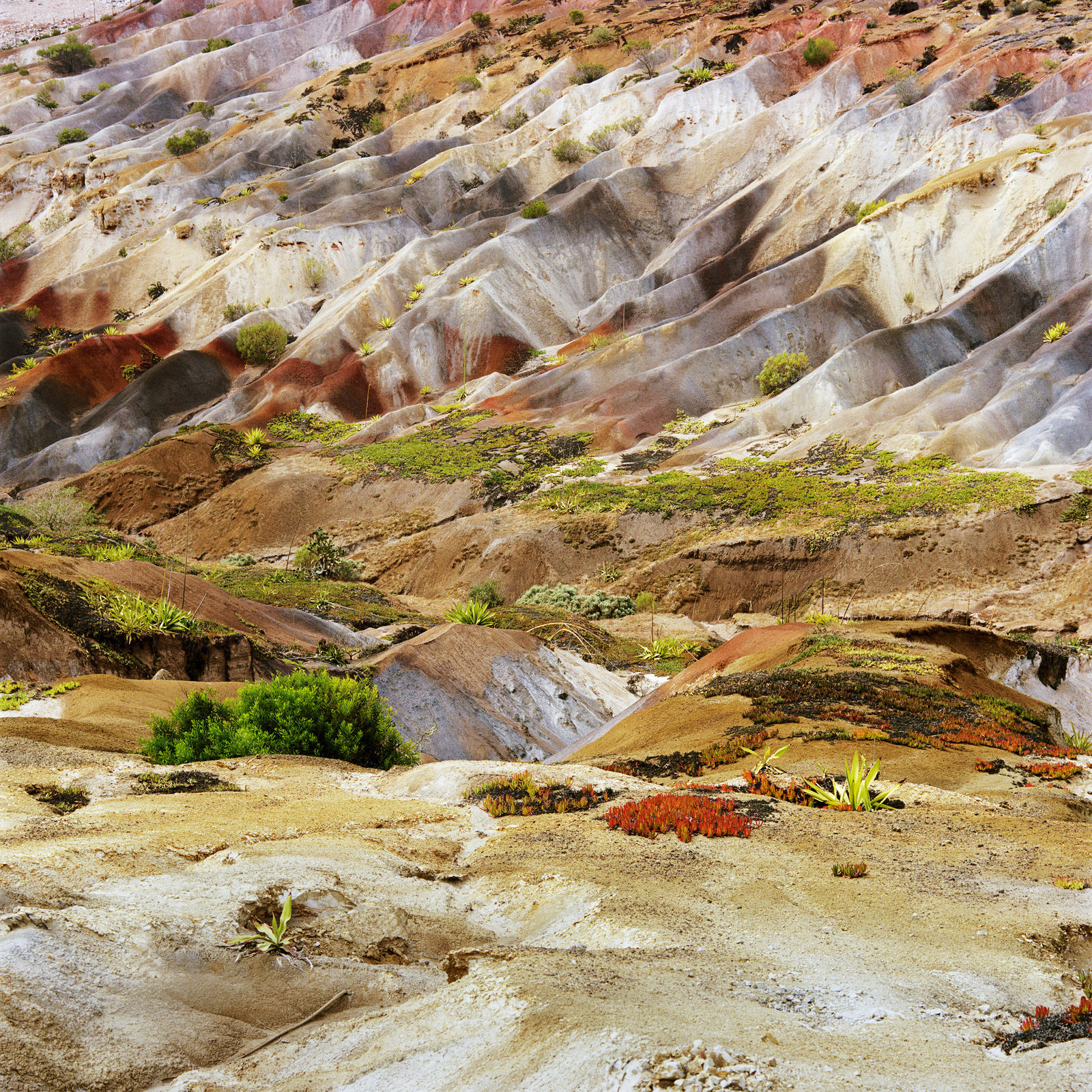 Jon Tonks, Longwood, St Helena, 2013