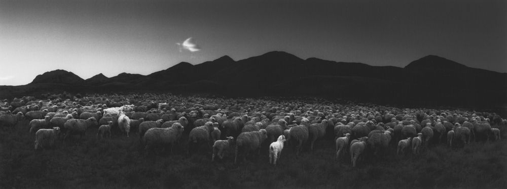Pentti Sammallahti, Barun-Khemchik, Tuva, Siberia, 1997