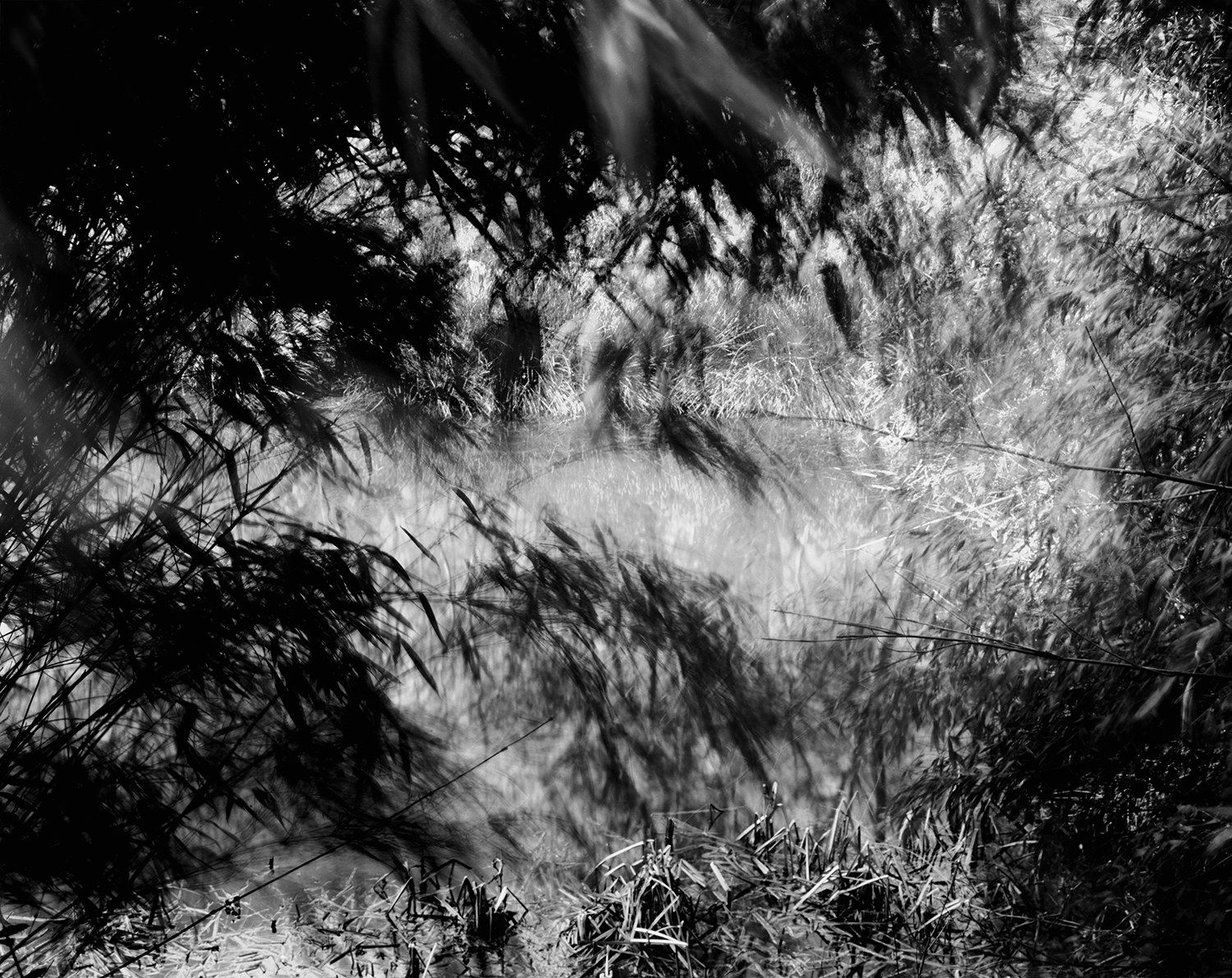 Nicholas Hughes, Verse I, #11, 2017