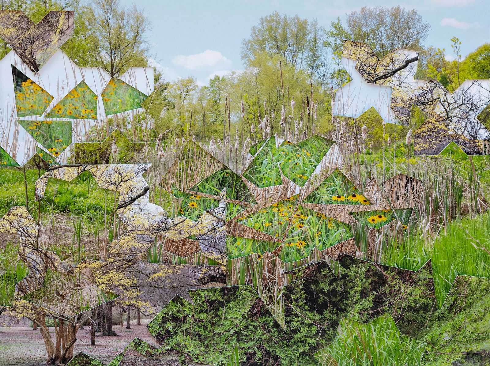 Gohar Dashti, Untitled #2, 2023