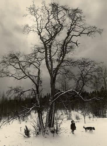 Pentti Sammallahti, Finstrom, Finland, 1989
