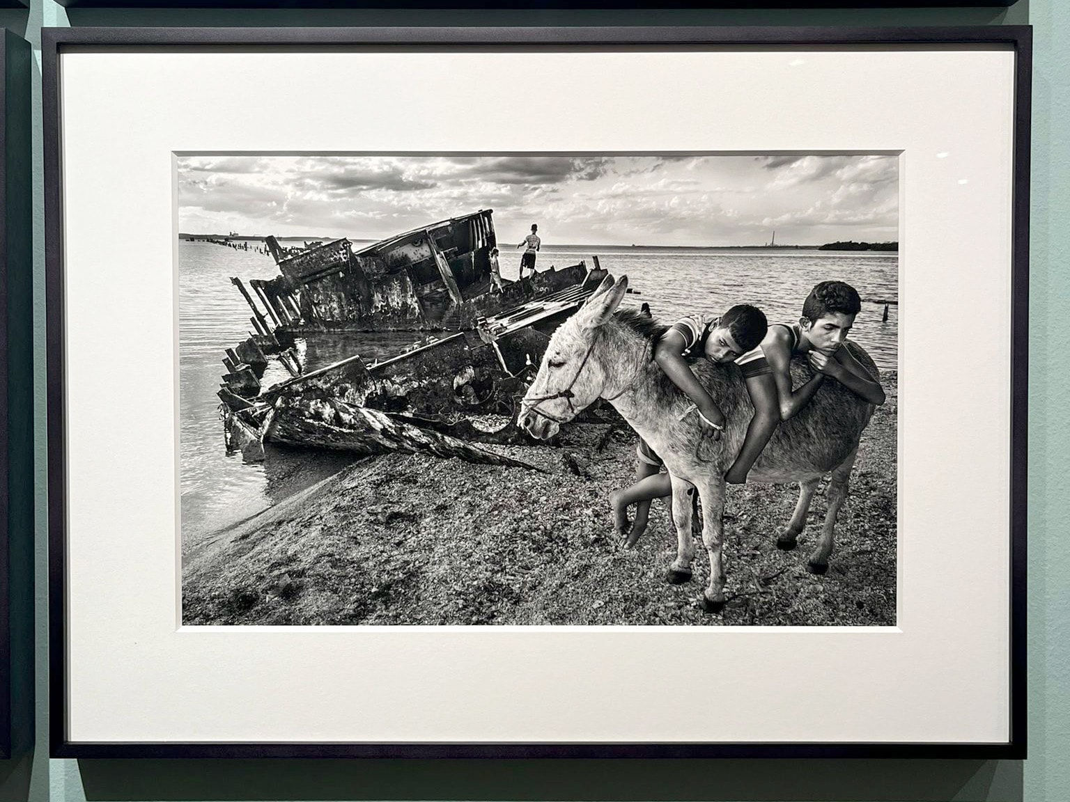 Raúl Cañibano, Cienfuegos, 2016