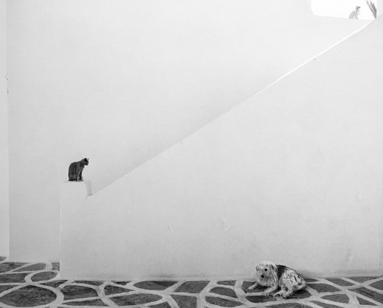 Pentti Sammallahti, Sikinos, Greece, 2010