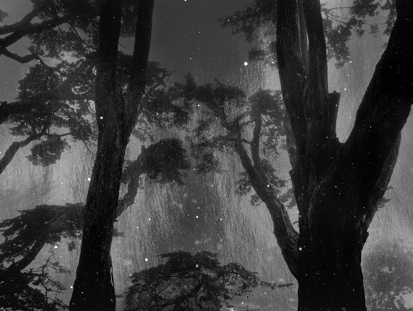 Nicholas Hughes, Untitled #5, 2024