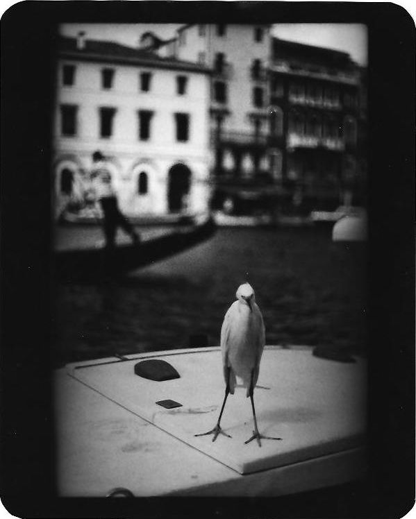 Giacomo Brunelli, Heron Venice, 2005-2008